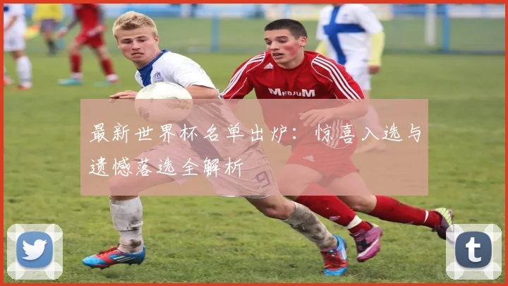 最新世界杯名单出炉：惊喜入选与遗憾落选全解析